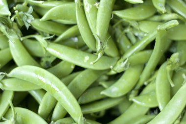 taze çalı fasulyesi kadar kapatın