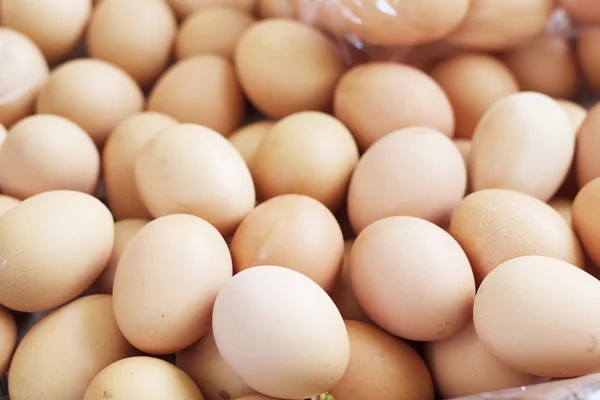 Close up of brown eggs — Stock Photo, Image