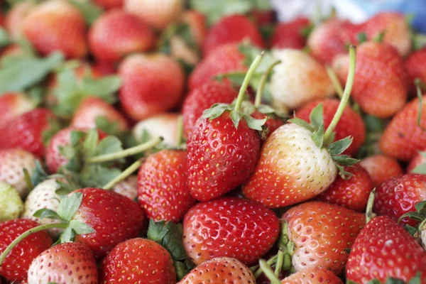 Un sacco di frutta fresca alla fragola — Foto Stock