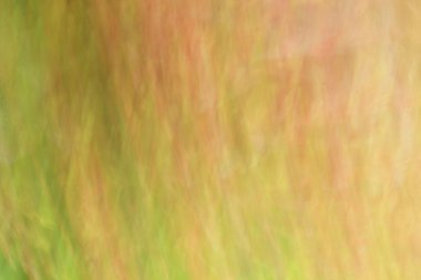 bulanık ışık trails - arka plan Güzellik