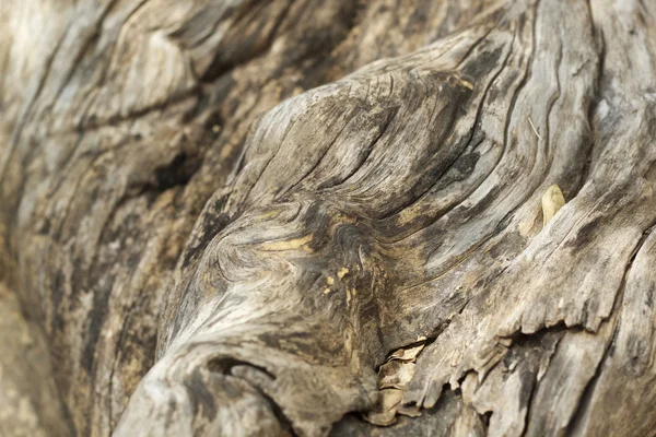 Madeira velha textura de fundo marrom — Fotografia de Stock