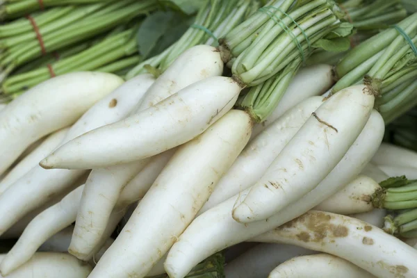 Frischer Rettich auf dem Markt — Stockfoto