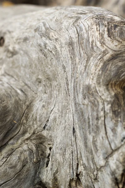 Old wood brown background texture — Stock Photo, Image