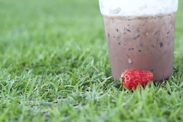 Ijs chocolade op groen gras — Stockfoto