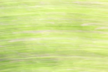 bulanık ışık trails - arka plan Güzellik