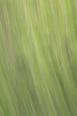 bulanık ışık trails - arka plan Güzellik