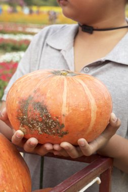 çocuk elinde taze kabak
