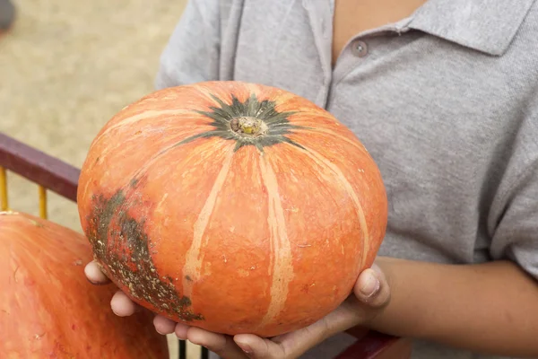 Citrouilles fraîches à la main le garçon — Photo