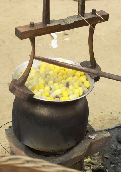 Wrzenia kokon w garnku przygotować jedwabny kokon. — Zdjęcie stockowe
