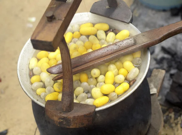 Cocon bouillant dans une casserole pour préparer un cocon de soie . — Photo