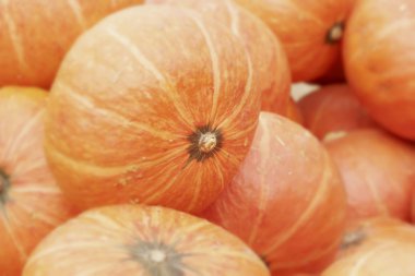 doğa ile taze kabak