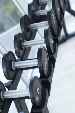 Dambıl halter egzersiz için