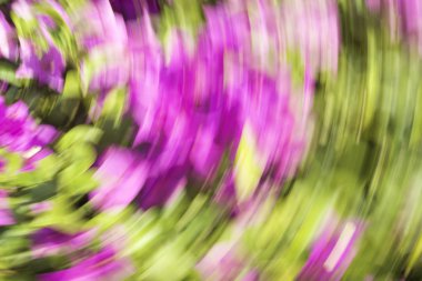 Bulanık ışık izleri renkli arkaplan