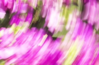 Bulanık ışık izleri renkli arkaplan