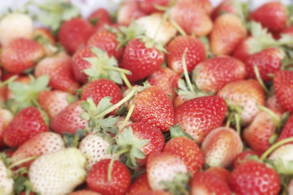 Un montón de fruta fresca de fresa —  Fotos de Stock