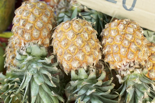 Fresh pineapple at the market — Stock Photo, Image