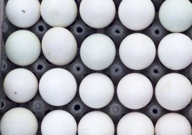 Beyaz yumurta