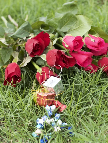 Красная роза прекрасна — стоковое фото