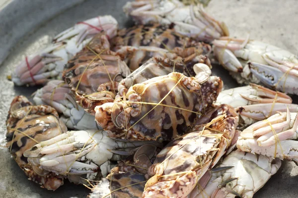 Färsk krabba i marknaden — Stockfoto