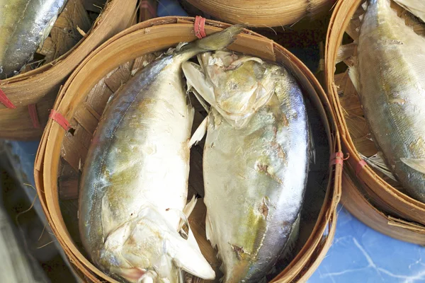 Pescado de caballa en el mercado — Foto de Stock