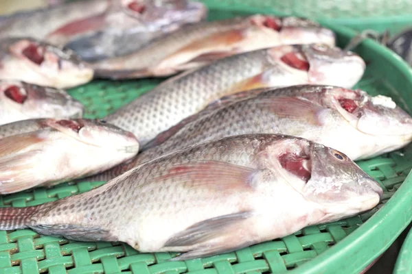 Pescado fresco - en el mercado —  Fotos de Stock