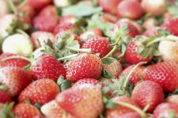 Un sacco di frutta fresca alla fragola — Foto Stock