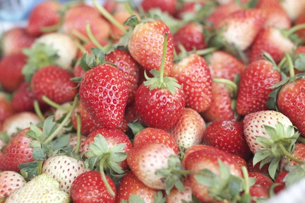 Un sacco di frutta fresca alla fragola — Foto Stock