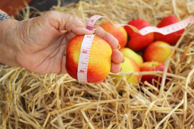 ölçü birimi teyp ve Kırmızı elma