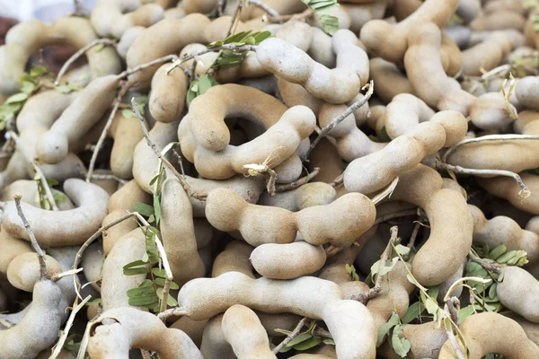 Mogen tamarind frukt — Stockfoto