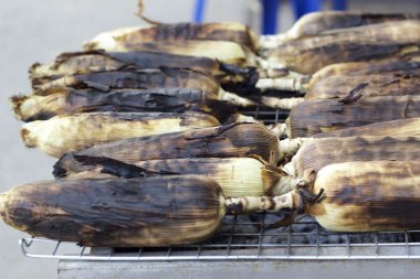 Kavrulmuş ızgara mısır - ızgara mısır