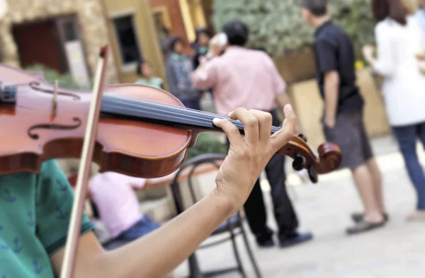 Male playing the violin in the park. — Stock Photo, Image