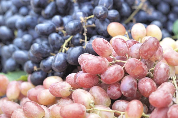 Frische Trauben — Stockfoto