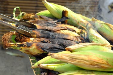 Kavrulmuş ızgara mısır - ızgara mısır