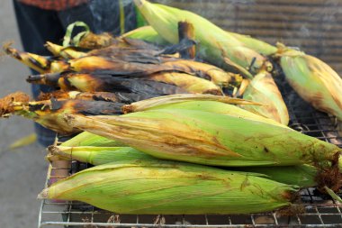 Kavrulmuş ızgara mısır - ızgara mısır