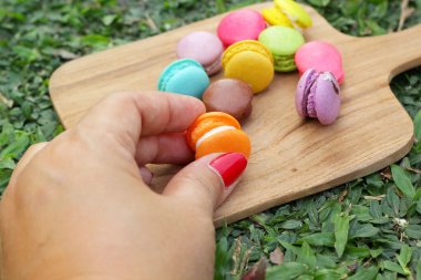 Fransızca macaroons çok renkli lezzetlidir