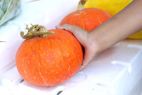 Citrouilles fraîches au marché — Photo