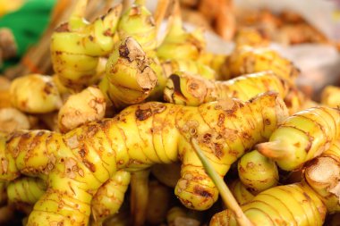 piyasada zencefil kökü