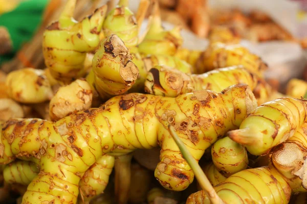 Racine de gingembre sur le marché — Photo