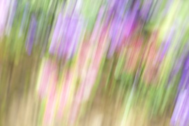 bulanık ışık yollar arka plan güzelliktir