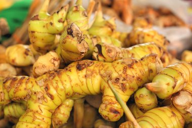 piyasada zencefil kökü