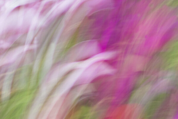 размытые легкие трассы это фоновая красота
