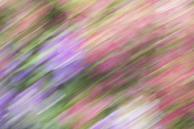 bulanık ışık yollar arka plan güzelliktir