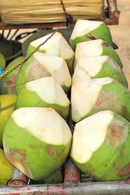 Taze hindistan cevizi suyu içmeye tatlıdır