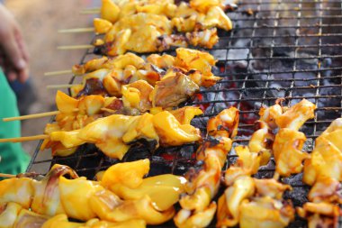 b-Barbekü Izgara kalamar piyasada