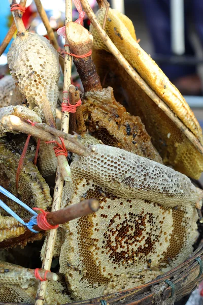 Nido de abeja en la sucursal en el mercado —  Fotos de Stock