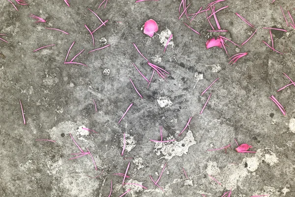 Kronbladen på golvet cement i bakgrunden. — Stockfoto
