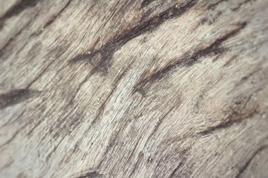 Ahşap doku. arkaplan eski panelleri