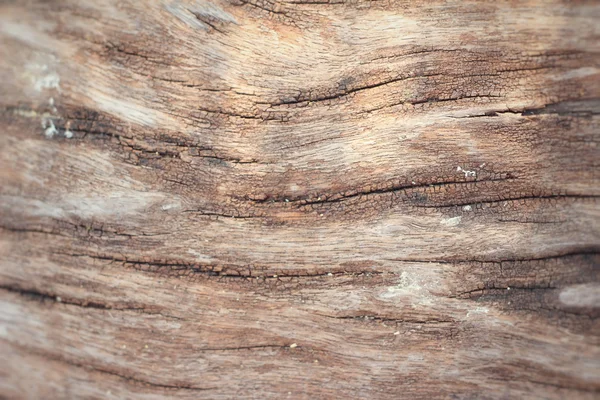 Texture in legno. sfondo vecchi pannelli — Foto Stock