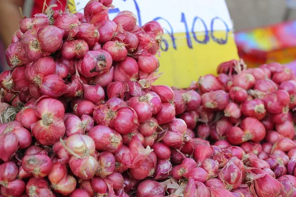 Shallot - asia red onion at the market — Stock Photo, Image