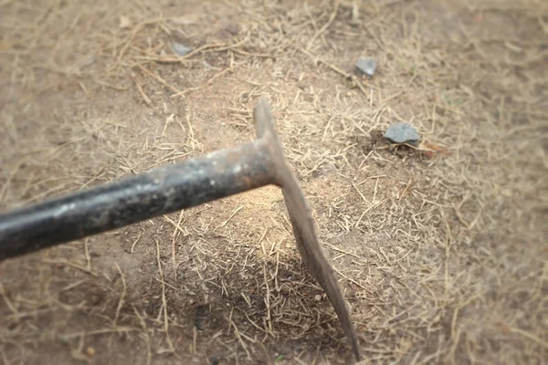 Small shovel for gardening on soil background — Stock Photo, Image